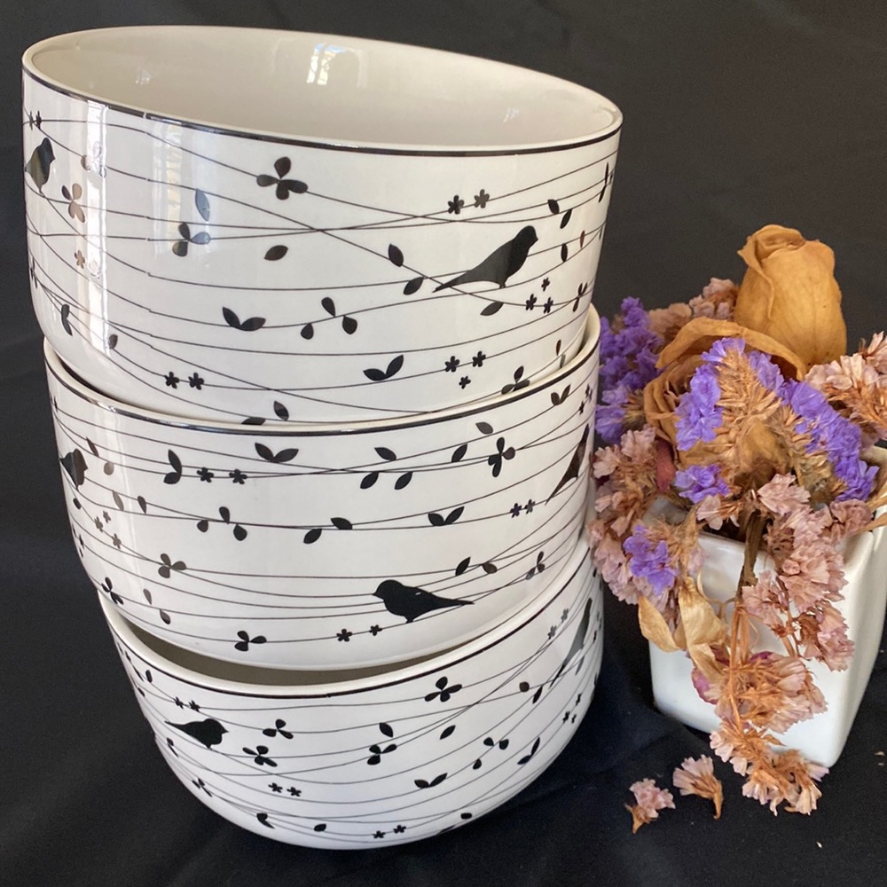 CIROA - set of 3 LARGE  fine bone china bowls - birds in a vine